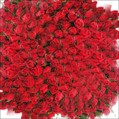 "Cute Bunch (999 Red Roses) - Click here to View more details about this Product